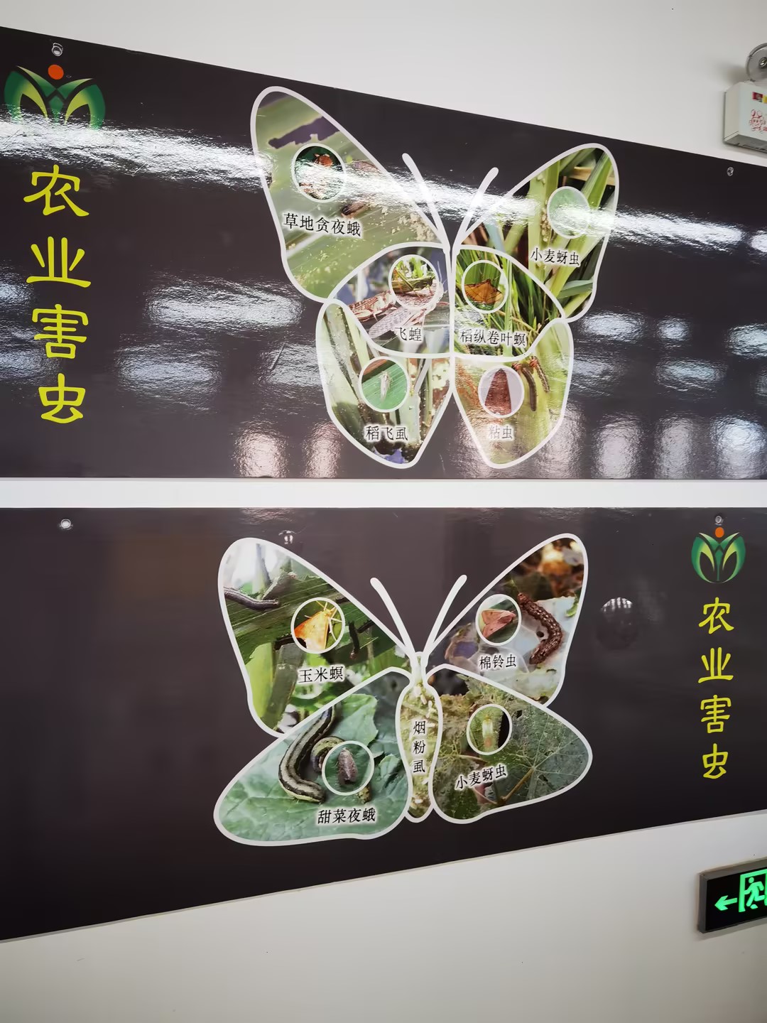 IMG_20240604_094207(1).jpg IMG_20240604_094207(1).jpg