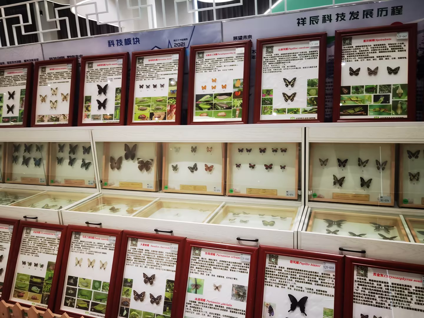 IMG_20240604_091508(1).jpg IMG_20240604_091508(1).jpg